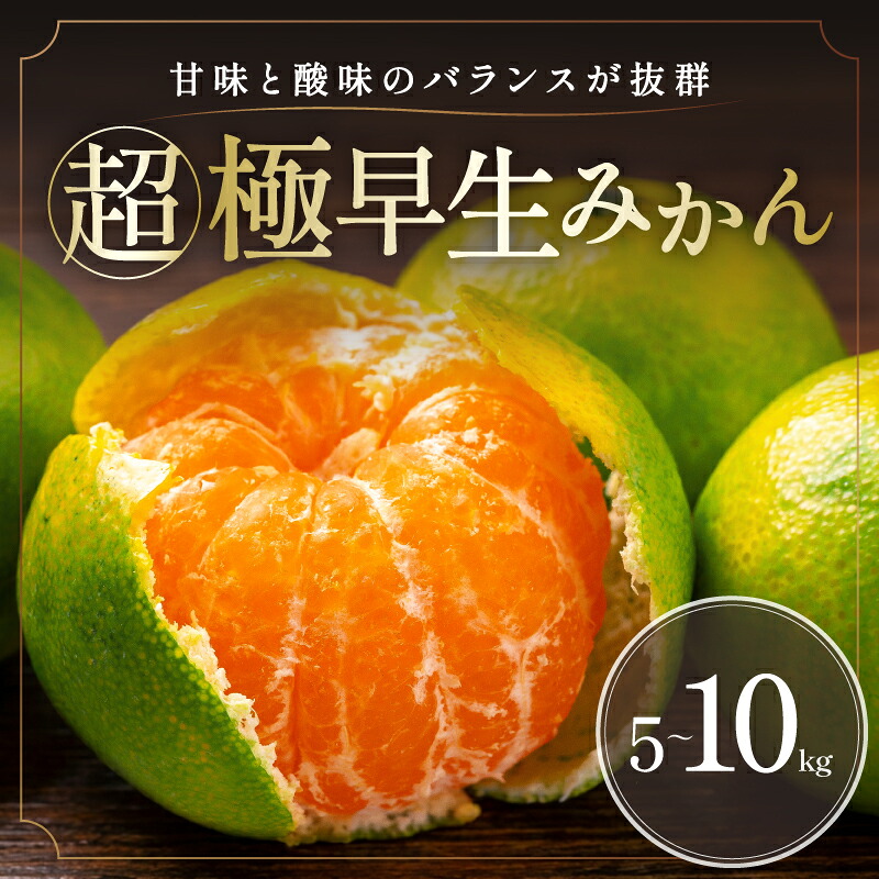 【ふるさと納税】ミカファーム 超極早生みかん 5kg 10kg 選べる 容量 │ 数量限定 フルーツ 果物 柑橘 みかん 超極早生 旬 夏 秋｜三重県御浜町