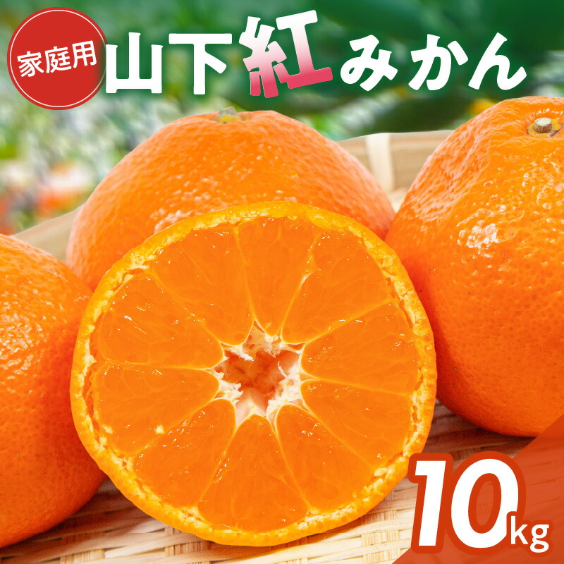 【ふるさと納税】【数量限定】辻本農園 訳あり 山下紅みかん 家庭用 10kg キズあり【栽培が難しく市場に出回りにくい幻のみかん】