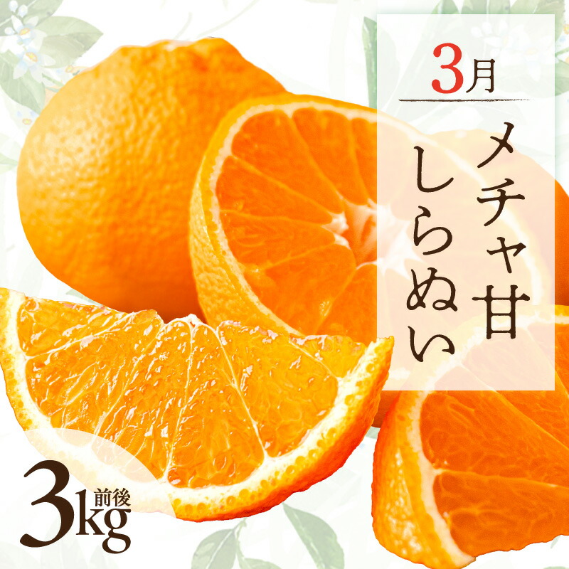 【ふるさと納税】【2027年発送先行予約品】高評価★5.00 3月の御浜柑橘 メチャ甘しらぬい 3kg前後 │ フルーツ 果物 みかん 不知火 しらぬい シラヌイ 旬 おいしい 産地直送 春 旬｜三重県御浜町