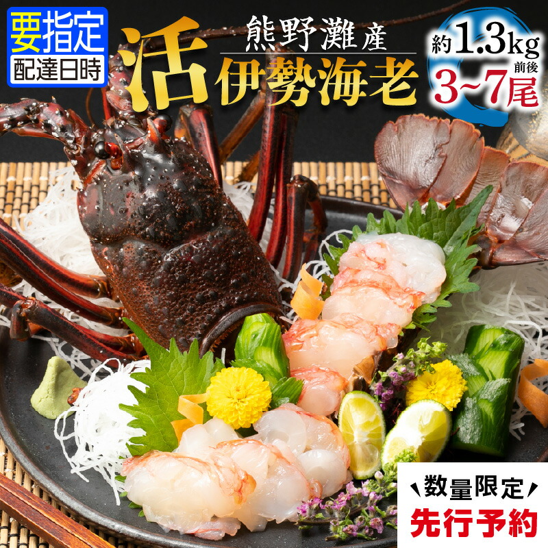【ふるさと納税】【高評価★5.00 高レビュー★】文恵丸水産 熊野灘産活伊勢海老 豊漁コース 3～7尾 約1.3kg前後【プリプリな食感がたまらない！鮮度抜群！味で勝負！】