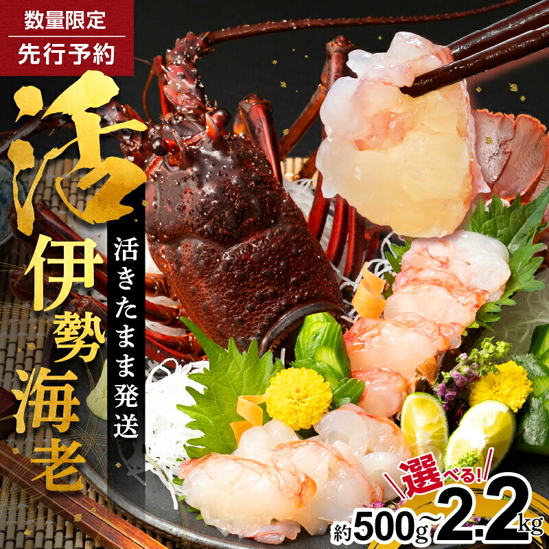 楽天市場】【ふるさと納税】文恵丸水産 ＜選べる内容量＞ 熊野灘産 活