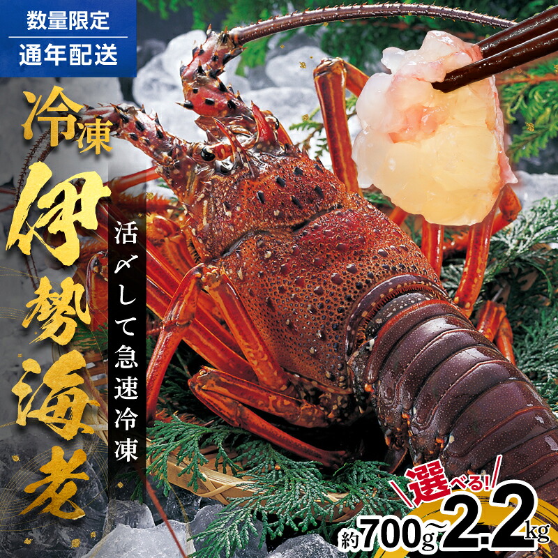 【ふるさと納税】＼お中元 のし対応／文恵丸水産 ＜選べる内容量＞ 熊野灘産活〆急速冷凍伊勢海老 │ 海鮮 魚介 海老 エビ 伊勢海老 伊勢エビ いせえび 冷凍伊勢海老 刺身 炭火焼 味噌汁 産地直送 夏ギフト お中元ギフト のし対応可 熨斗【時期指定・のし可】｜三重県御浜町