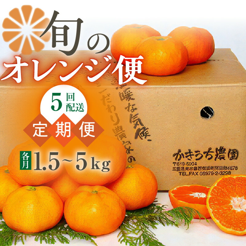 【ふるさと納税】かきうち農園  オレンジ 定期便 (全5回)