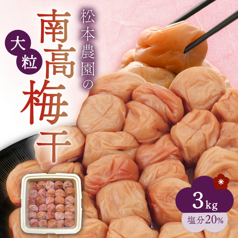 【ふるさと納税】松本農園 大粒 南高梅 3kg【完熟梅 ふっくら肉厚！天日塩のみで漬けた梅干し 塩分濃度20％】