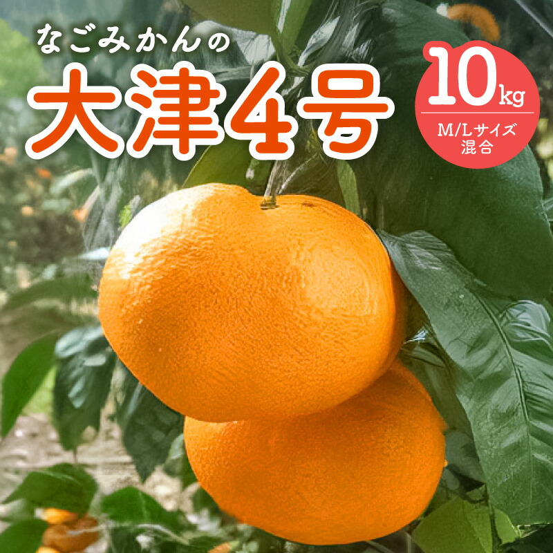 【ふるさと納税】なごみかん 大津 4号 10kg │ 数量限定 フルーツ 果物 柑橘 ミカン みかん 大津 冬 旬｜三重県御浜町 7,500円
