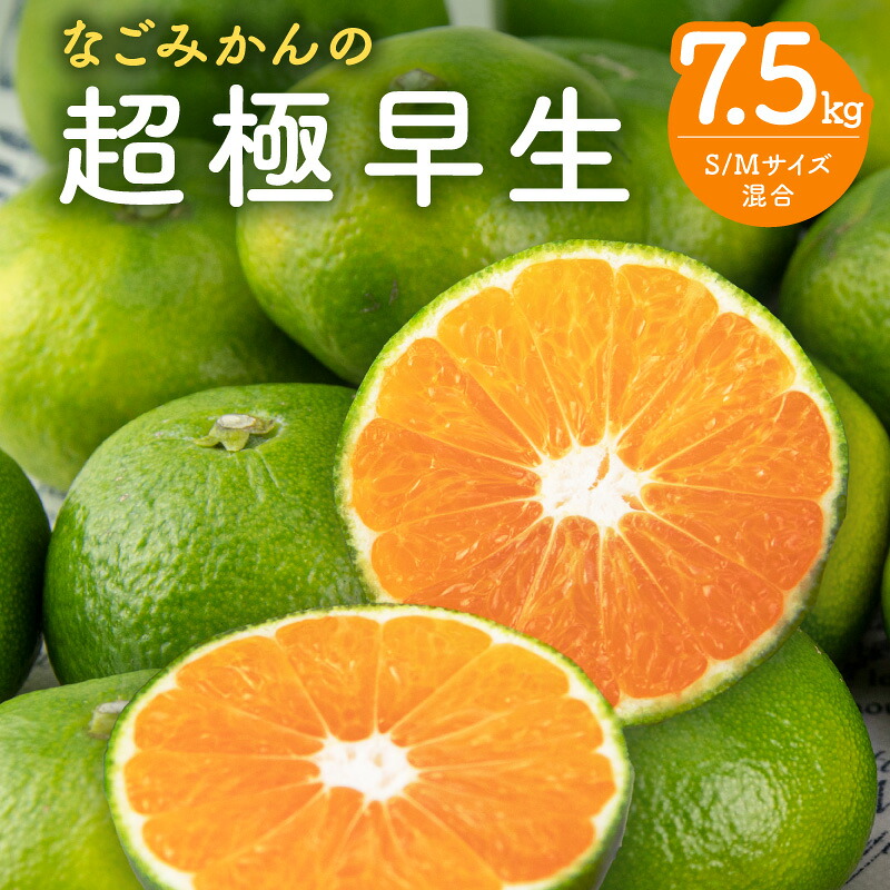【ふるさと納税】なごみかん 超極早生みかん 7.5kg │ 数量限定 フルーツ 果物 柑橘 みかん 超極早生 青切りみかん 夏 秋 旬|三重県御浜町
