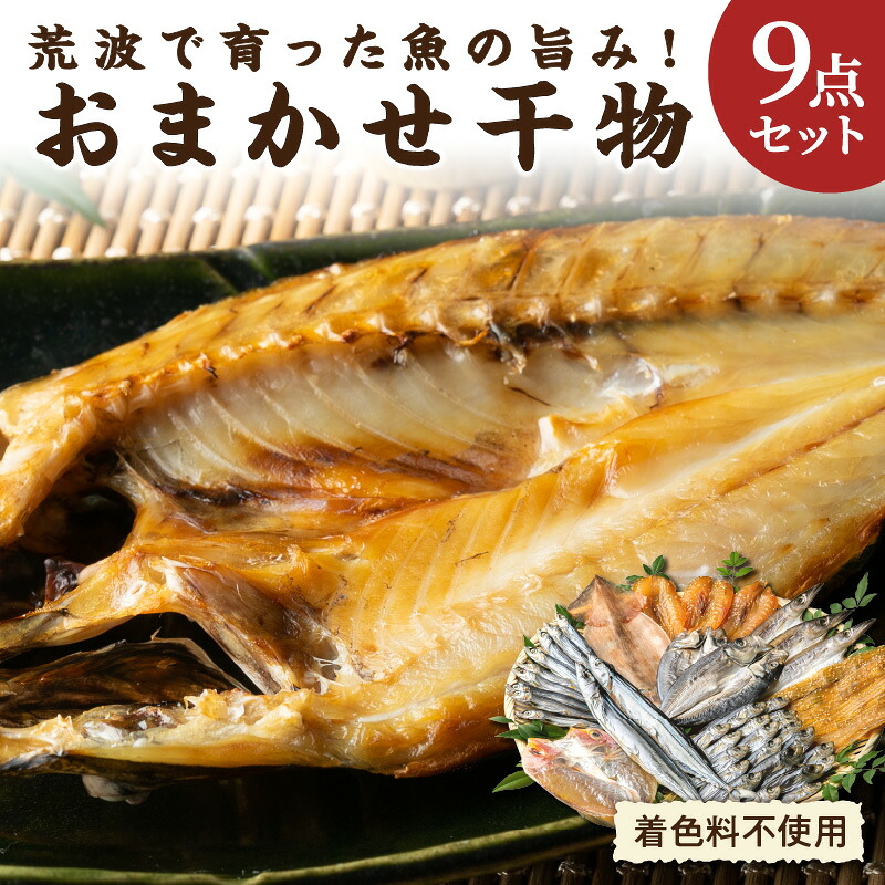 【ふるさと納税】マルミツ おまかせ 干物 9点セット【地元熊野灘で水揚げされた、着色料不使用の干物詰め合わせ】 12,070円