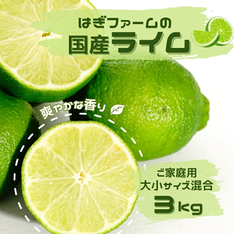 【ふるさと納税】 ご家庭用 ライム はぎファームの 国産 ライム 3kg 大小サイズ混合 (30～35個前後) 【2025年8月下旬頃から順次発送予定】 らいむ 柑橘 フルーツ 果物 くだもの 香り 薬味 旬 お料理 飲み物 送料無料