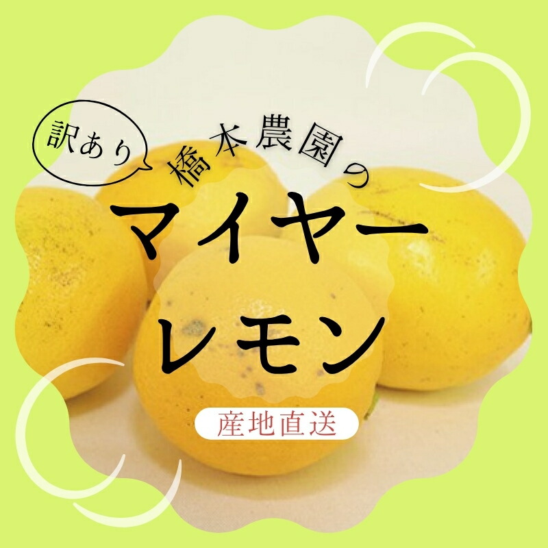 【ふるさと納税】 ＼選べる容量／ 【先行予約】橋本農園の 訳あり マイヤーレモン【3kg・5kg・10kgから選べます】【2025年12月中旬～2026年1月中旬までに順次発送】 /  レモン マイヤーレモン 檸檬 果物 くだもの フルーツ 産地直送 国産 数量限定 家庭用 ご家庭用 訳あり