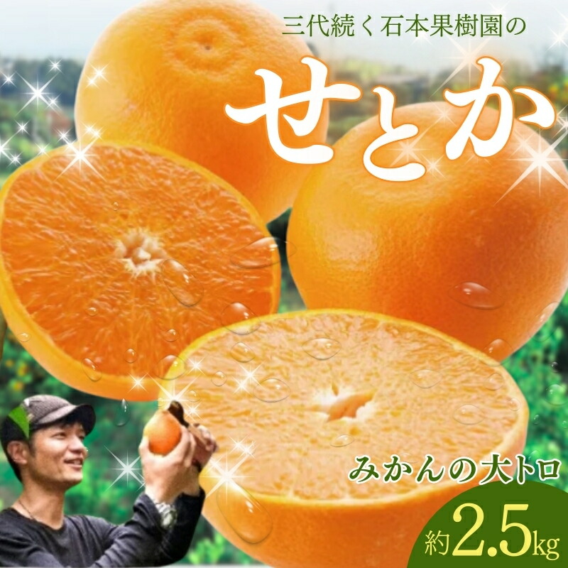 【ふるさと納税】 せとか 石本果樹園の美味しい せとか 約 2.5kg 9～15玉前後【2026年2月中旬から3月中旬までに順次発送】 / みかん フルーツ くだもの 果物 柑橘 先行予約 産地直送 送料無料 希少