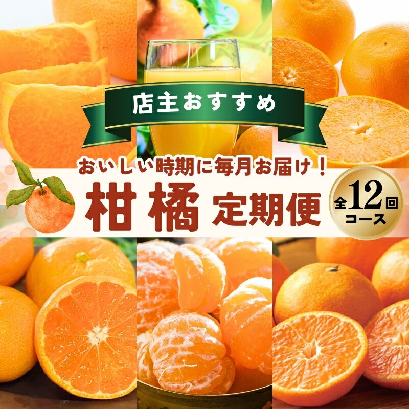 【ふるさと納税】 柑橘 定期便 石本果樹園 店主おすすめの柑橘セットを毎月お届け！【全12回】 / フルーツ 果物 くだもの 柑橘 フルーツ定期便 くだもの定期便 定期便 みかん ミカン 温州みかん せとか カラマンダリン ハウスみかん 産地直送 旬 人気 おすすめ 三重県 紀宝町