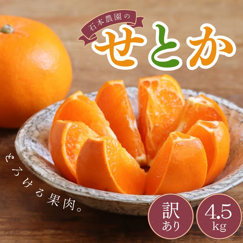 【ふるさと納税】 訳あり せとか 石本農園の せとか 4.5kg M-4L サイズおまかせ 【2026年2月中旬から下旬までに順次発送】 みかん ミカン 蜜柑 柑橘 果物 くだもの フルーツ サイズ 不揃い 家庭用 ご家庭用 予約 人気 ジューシー 甘い 産地直送 送料無料
