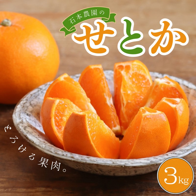 【ふるさと納税】 《レビューキャンペーン実施中！》 せとか 石本農園の ハウスせとか 約3kg  (2L or 3L 9玉～12玉)【2026年2月中旬から下旬に順次発送】 みかん ミカン 蜜柑 柑橘 果物 くだもの フルーツ 予約 人気 ジューシー 甘い 産地直送 送料無料