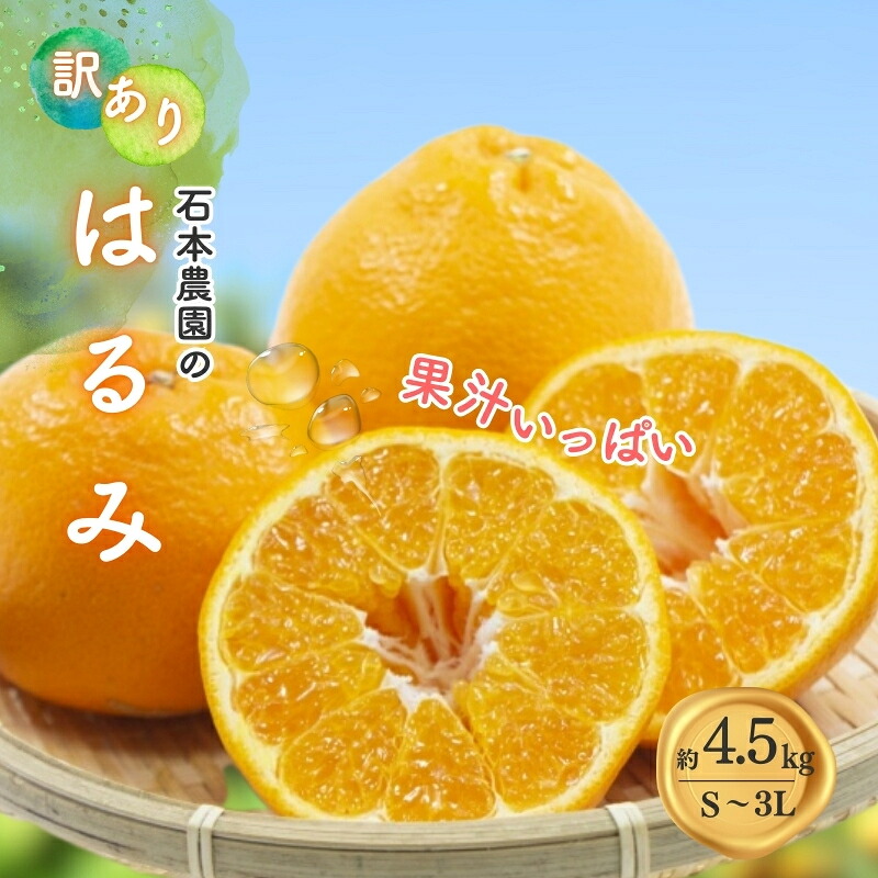 【ふるさと納税】 訳あり S-3L サイズおまかせ 石本農園のはるみ 4.5kg 【2027年1月中旬から2月末頃までに順次発送】 / みかん ミカン 蜜柑 はるみ 訳あり おまかせ｜三重県紀宝町 9,000円