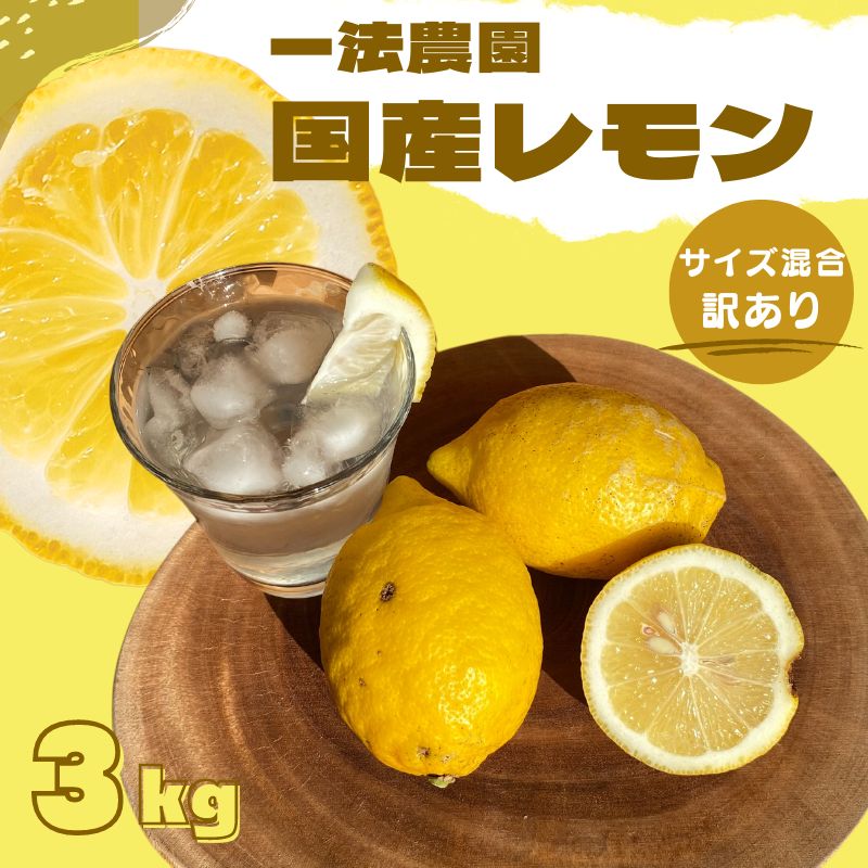 【ふるさと納税】 一法農園の 国産レモン サイズ混合 3kg(15個前後) 訳あり ご家庭用【12月中旬～3月下旬までに順次発送】 / れもん レモン 檸檬 蜜柑 フルーツ 果物