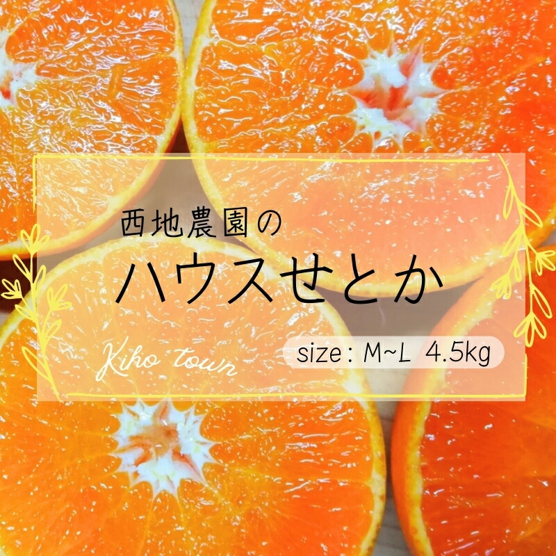 【ふるさと納税】 《レビューキャンペーン実施中！》 せとか 西地農園の ハウスせとか 4.5kg L～Mサイズ 【2026年2月中旬から順次発送】 手選別 ハウスせとか みかん ミカン 蜜柑 柑橘 果物 くだもの フルーツ 予約 人気 ジューシー 甘い 産地直送 送料無料
