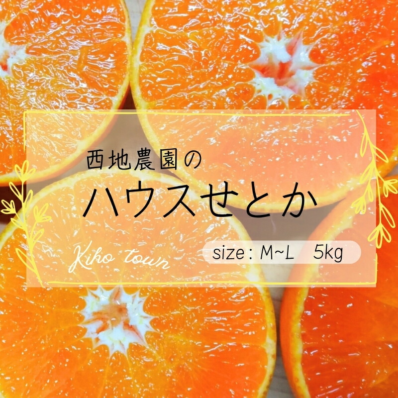 【ふるさと納税】 せとか 西地農園の ハウスせとか 5kg L～Mサイズ 【2027年2月中旬から順次発送】 手選別 ハウスせとか みかん ミカン 蜜柑 柑橘 果物 くだもの フルーツ 予約 人気 ジューシー 甘い 産地直送 送料無料｜三重県紀宝町