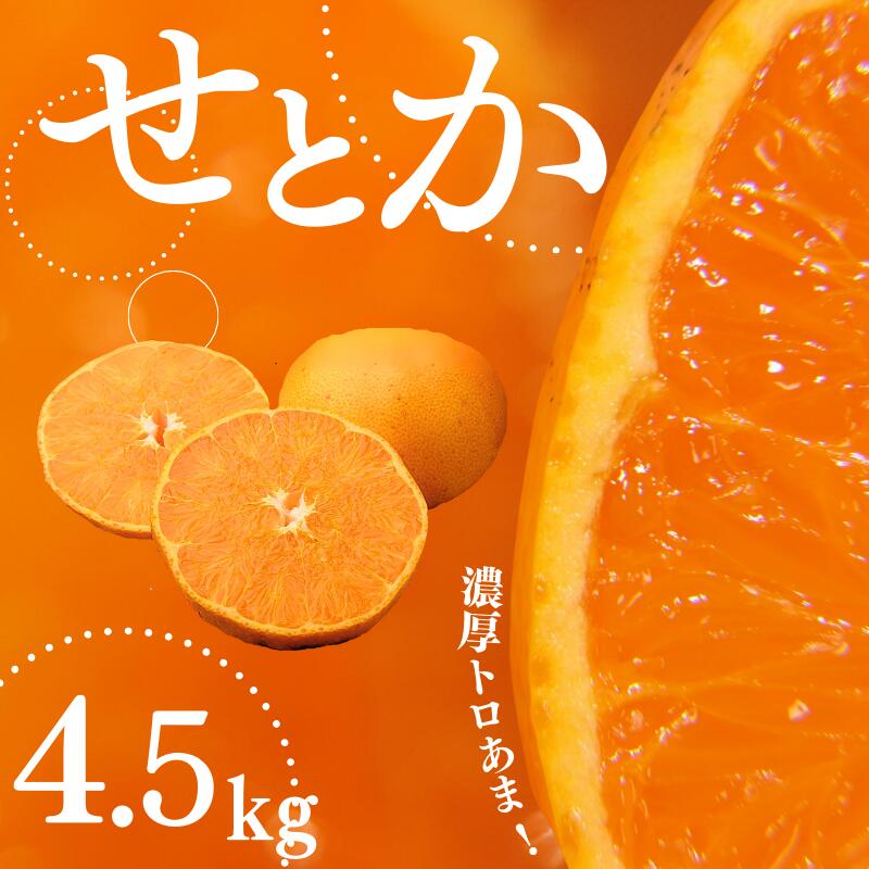 【ふるさと納税】 《レビューキャンペーン実施中！》 せとか ご家庭用 たにぐち農園の せとか 4.5kg 大小混合 【2026年3月から4月上旬までに順次発送】 みかん ミカン 蜜柑 柑橘 果物 くだもの フルーツ サイズ 不揃い 家庭用 予約 人気 ジューシー 甘い 産地直送 送料無料