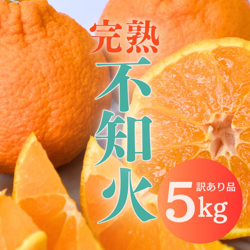 【ふるさと納税】 《レビューキャンペーン実施中！》 不知火 たにぐち農園の 完熟不知火 ご家庭用 ちょこっと訳あり 5kg 【2026年2月中旬から3月下旬までに順次発送】 デコポン みかん ミカン 蜜柑 柑橘 果物 くだもの フルーツ 訳あり 家庭用 予約 人気 産地直送 送料無料