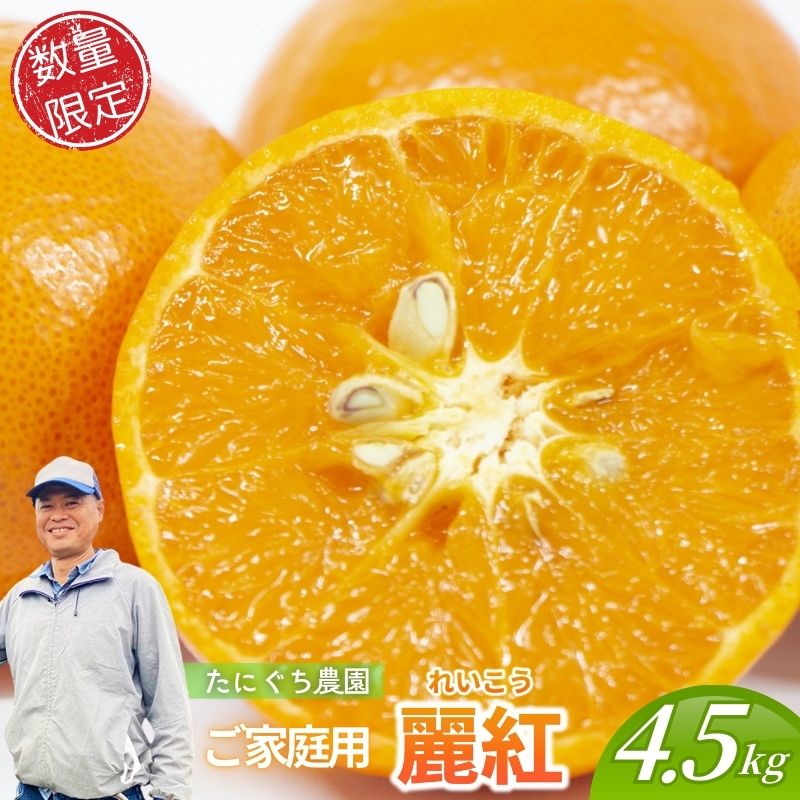 【ふるさと納税】 【数量限定】ご家庭用 たにぐち農園の麗紅 (れいこう) 約4.5kg Lサイズ以上 みかん ミカン 柑橘 フルーツ 果物 くだもの 家庭用 れいこう オレンジ 旬 産地直送 農家直送 【2027年2月より順次発送予定】|三重県紀宝町