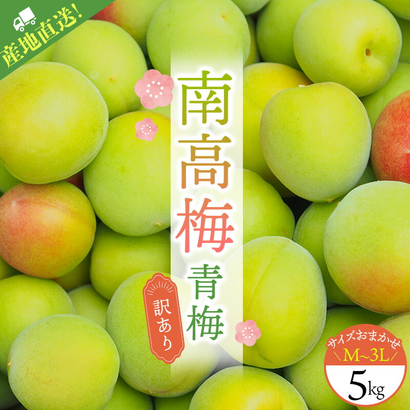 【ふるさと納税】 【5月30日までの受付！】 訳あり ご家庭用 南高梅 青梅 5kg M-3L サイズおまかせ | 梅 梅干 梅干し うめぼし うめ ウメ 青梅 生梅 梅酒 梅ジュース 梅シロップ 健康 夏バテ防止 夏バテ対策 クエン酸 期間限定 数量限定 人気 送料無料