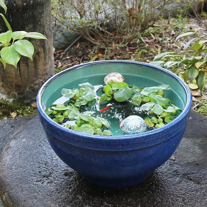 楽天市場】【ふるさと納税】睡蓮鉢 2尺 大谷焼 ＜森陶器