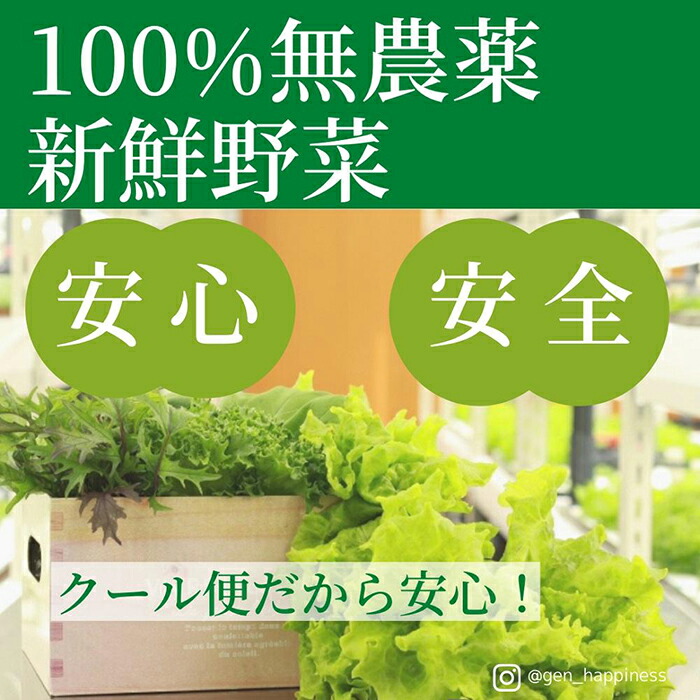 ☆特盛り 直送 ☆新鮮無農薬野菜詰め合わせ 激安店舗