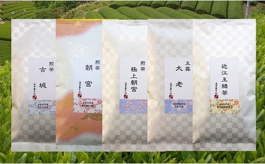 【ふるさと納税】 【みやおえん】当店おすすめのお茶５種類飲みくらべ | ふるさと 納税 支援 支援品 滋賀県 滋賀 彦根市 お取り寄せ ご当地 お土産 お茶 茶葉 お茶っ葉 詰め合わせ 日本茶 朝宮茶 緑茶 飲み物 ドリンク 特産品 名産品 取り寄せ ご当地おみやげ おすすめ