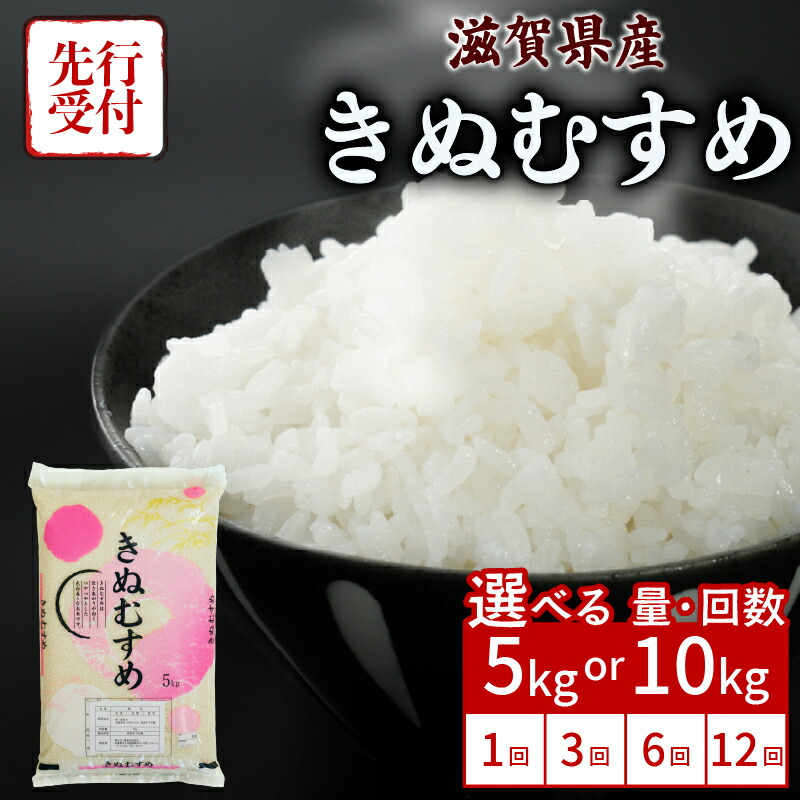 【ふるさと納税】 先行予約 新米 きぬむすめ 5kg / 10kg 令和8年産 先行受付 単品 / 定期便 選べる発送回数 3ヶ月定期便 6ヶ月定期便 12ヶ月定期便 キヌムスメ 米 精米 こめ コメ お米 ご飯 米 5キロ 10キロ 令和8年 令和8年度産 令和八年 令和八年産 滋賀 彦根|滋賀県彦根市