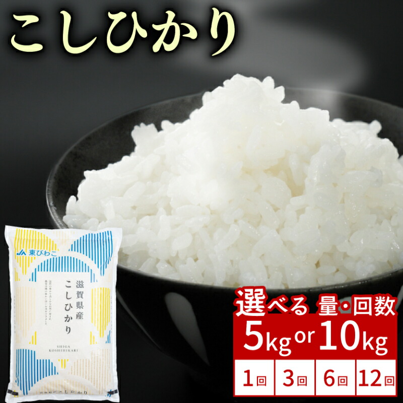 【ふるさと納税】 こしひかり 5kg / 10kg 単品 / 定期便 令和7年産 米 精米 こめ コメ お米 コシヒカリ ご飯 5キロ 10キロ 令和7年 3ヶ月定期便 6か月定期便 12ヶ月定期便 ふるさと納税米 ふるさと納税米定期便 滋賀 彦根 8,750円