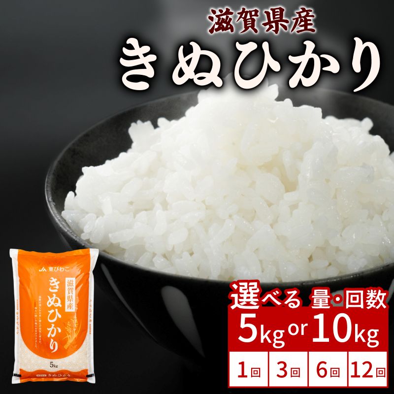 【ふるさと納税】 令和8年産も選べる きぬひかり 5kg / 10kg 単品 / 定期便 令和7年産 令和8年産 新米 米 精米 こめ コメ お米 キヌヒカリ ご飯 5キロ 10キロ 令和7年 令和8年 3ヶ月定期便 6か月定期便 12ヶ月定期便 ふるさと納税米 ふるさと納税米定期便 滋賀 彦根｜滋賀県彦根市