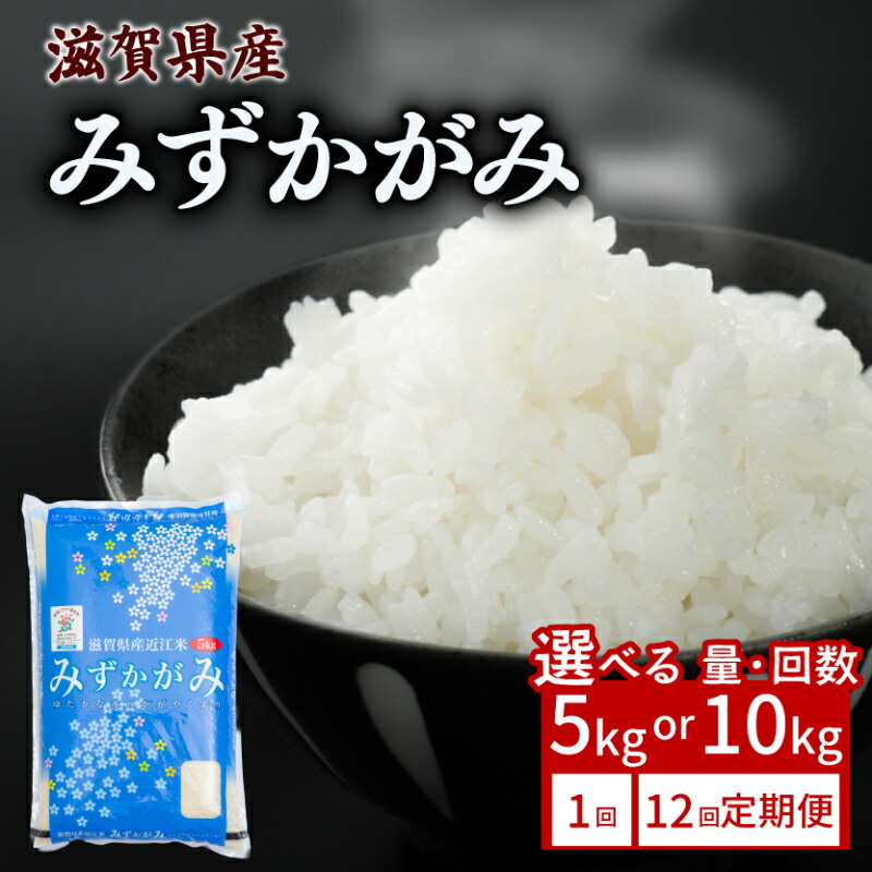 楽天市場】【ふるさと納税】 こしひかり 5kg 10kg 単品 / 12ヶ月定期便