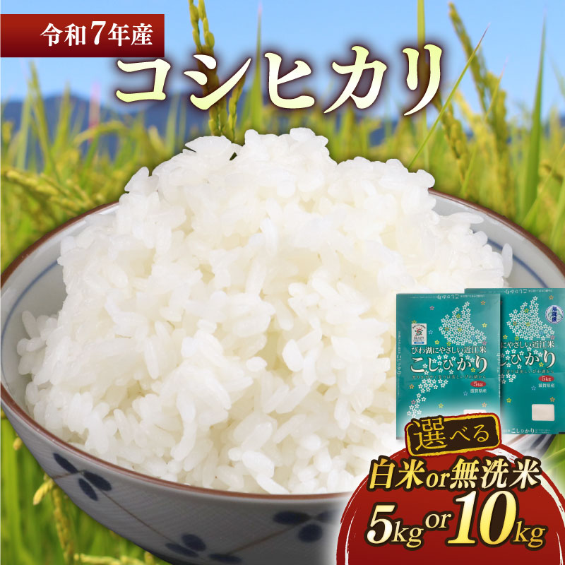 楽天市場】【ふるさと納税】 新米 令和7年 みずかがみ 選べる容量 5kg