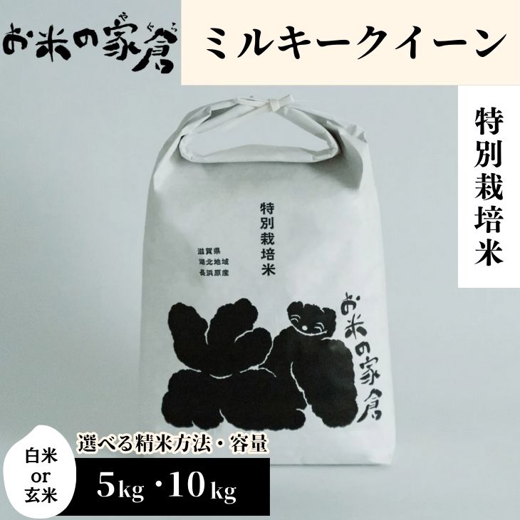 楽天市場】【ふるさと納税】【先行予約】 ＜選べる内容量＞令和6年 滋賀県湖北産 湖北のミルキークイーン 4.5kg～27kg 白米【減農薬米】｜お米  白米 選べる 産地直送 単一原料米 精米 ご飯 先行受付 新米 ※2024年9月上旬頃より順次発送予定 : 滋賀県長浜市