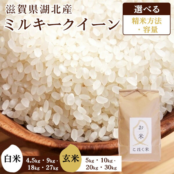 楽天市場】【ふるさと納税】【先行予約】 ＜選べる内容量＞令和6年 滋賀県湖北産 湖北のミルキークイーン 4.5kg〜27kg 白米【減農薬米】｜お米  白米 選べる 産地直送 単一原料米 精米 ご飯 先行受付 新米 ※2024年9月上旬頃より順次発送予定 : 滋賀県長浜市