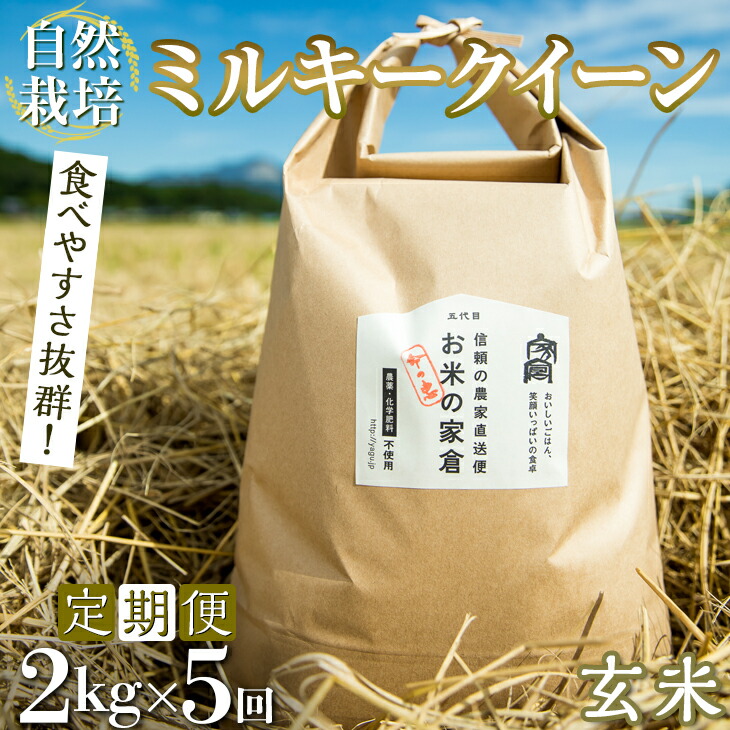 即納】 滋賀県 長浜市 食べやすさ抜群 自然栽培 ミルキークイーン 命の恵 2kg玄米×5回 農薬不使用 化学肥料不使用 産地直送 10kg※2022年10月上旬頃より順次発送予定  fucoa.cl