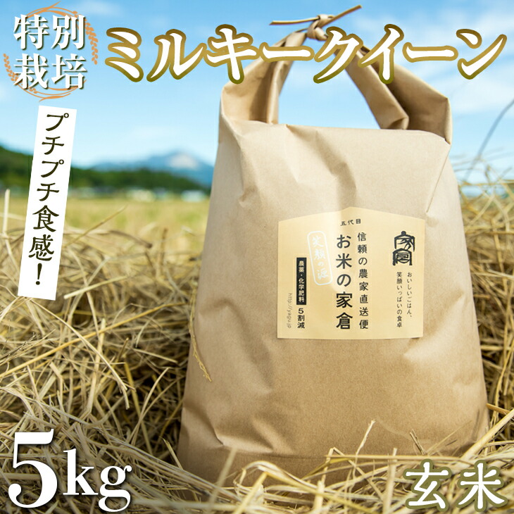 美濃焼 大野繁久 急須 (化粧箱入) 鉄粉引 134- エンブレムロゴ