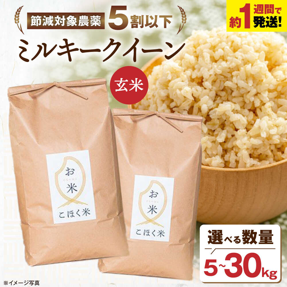 令和6年栃木県鹿沼市産 コシヒカリ 玄米30キロを精米した