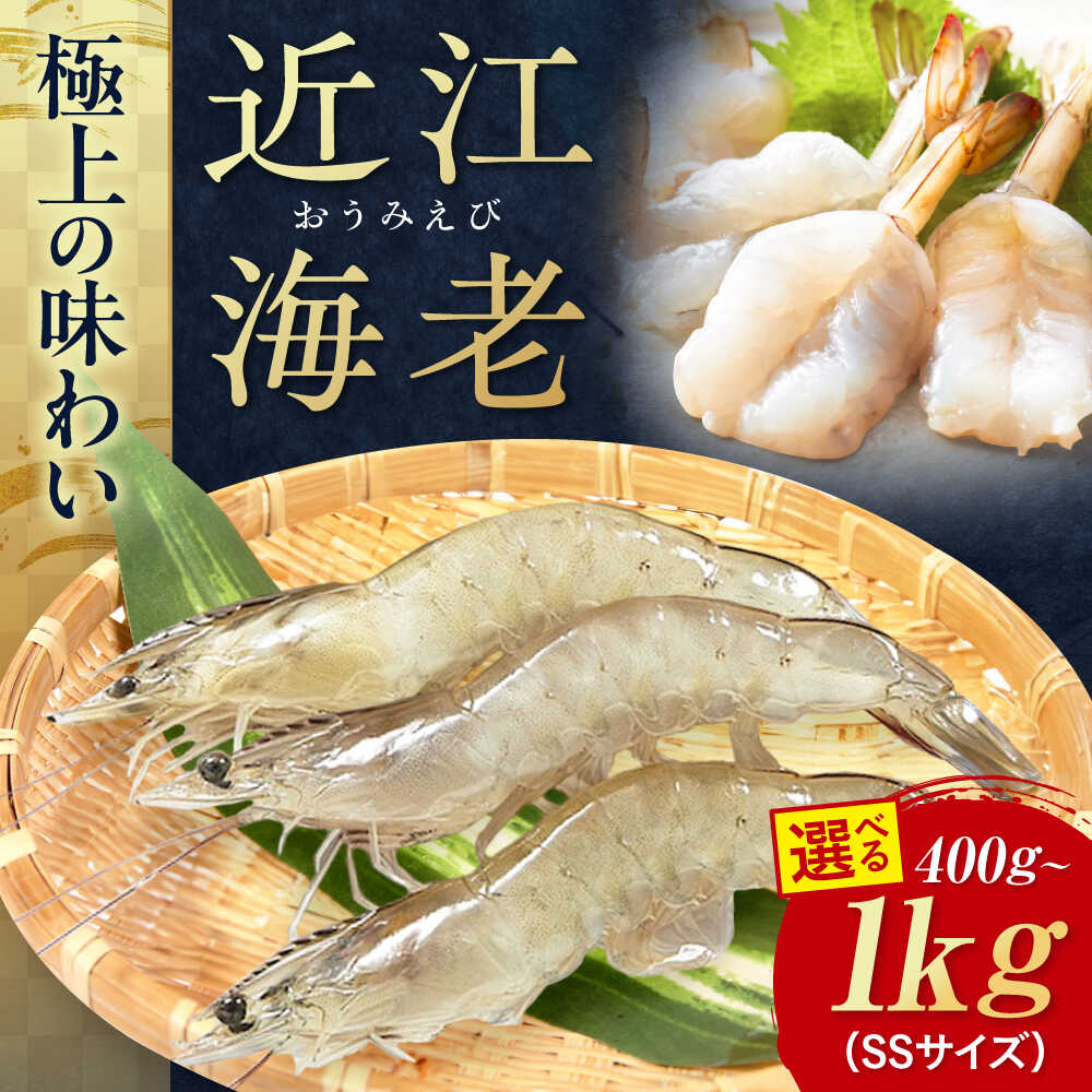 【ふるさと納税】近江海老 SSサイズ 400g～1kg 滋賀県長浜市/ワボウ電子株式会社[AQBA004] エビ 海老 えび 海鮮 魚介類 魚貝類 魚介 甲殻類 下処理不要 冷凍 業務用 小分け 国産 お弁当 刺身 刺し身 エビフライ エビチリ エビマヨ バーベキュー BBQ｜滋賀県長浜市