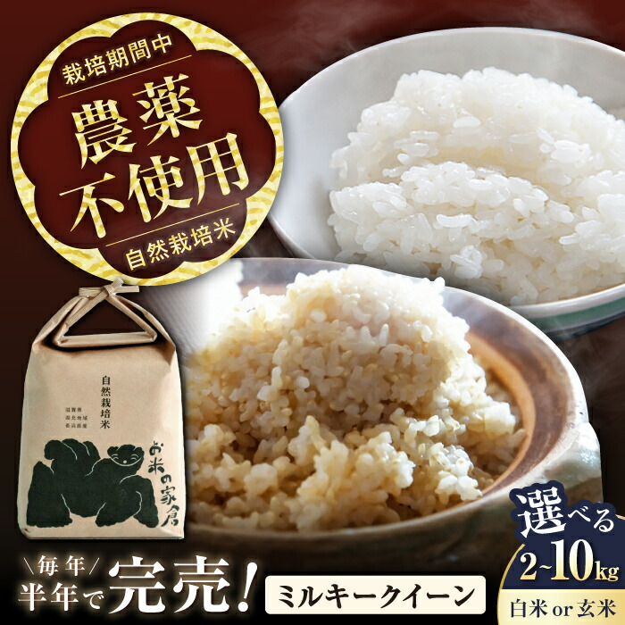 【期間限定】令和6年新米　京都玄米 青米入り　にこまる　農薬不使用　25キロ 令和6年新米 京都玄米 青米入り にこまる 農薬不使用 有機肥料