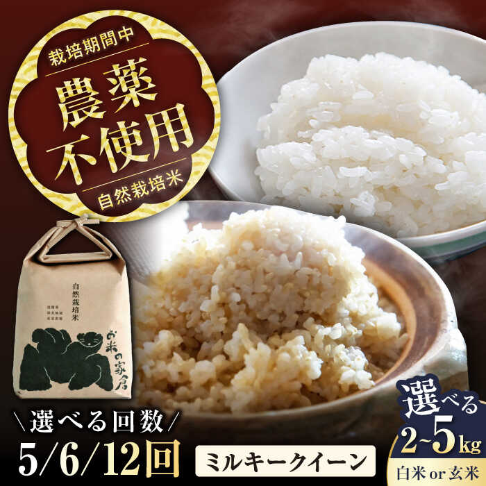 【ふるさと納税】米 定期便 自然栽培米 ミルキークイーン 令和7年産 【選べる精米方法/容量/定期回数】白米 玄米 2kg 5kg 全5回 全6回 全12回 お米 こめ コメ おこめ 精米 国産 滋賀県長浜市/お米の家倉 [AQCP007]｜滋賀県長浜市
