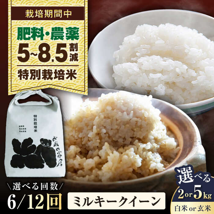 【ふるさと納税】【令和7年産】【選べる精米方法/容量/定期便回数】 特別栽培米 ミルキークイーン 2kg 5kg 白米 玄米 全6回 全12回 滋賀県長浜市/お米の家倉[AQCP023] 米 こめ コメ お米 定期便 国産 家庭用 精米 ご飯 おにぎり 送料無料 人気 おすすめ 炊き込みご飯｜滋賀県長浜市