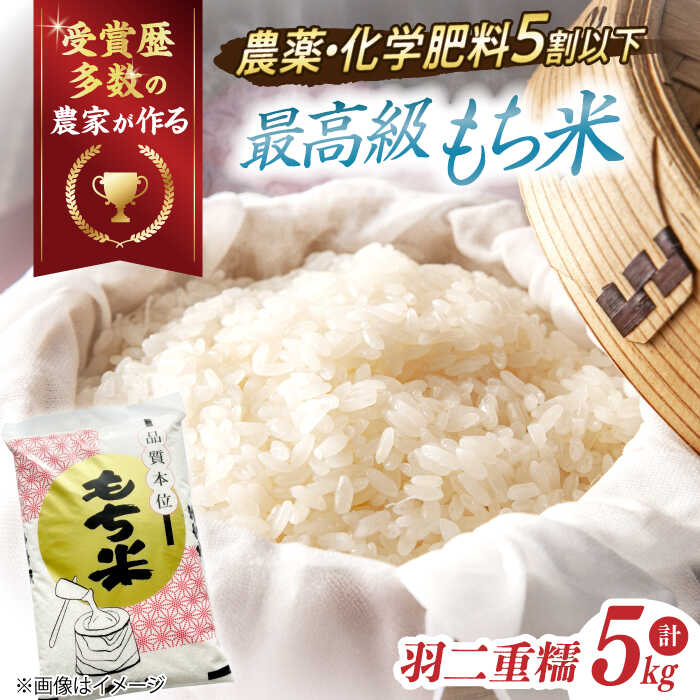 【ふるさと納税】【令和6年産】滋賀県産【特別栽培米】羽二重糯（はぶたえもち）5kg 滋賀県長浜市/株式会社ＴＰＦ [AQCQ008] 羽二重 羽二重糯 米 お米 もち米 餅米 5kg ※着日指定不可