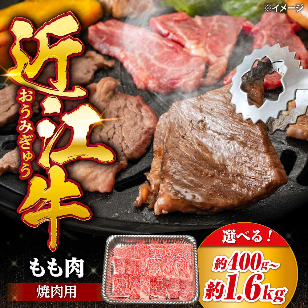 【ふるさと納税】【選べる容量】近江牛 焼肉用 もも肉 400g 800g 1.2kg 1.6kg 滋賀県長浜市/有限会社旭ミイト[AQDB019] 牛肉 近江牛 モモ 焼肉 焼き肉 BBQ 国産牛 和牛 ブランド牛 日本三大和牛 人気 おすすめ 贈答用 ギフト 冷凍 ふるさと納税 焼肉セット 焼肉用