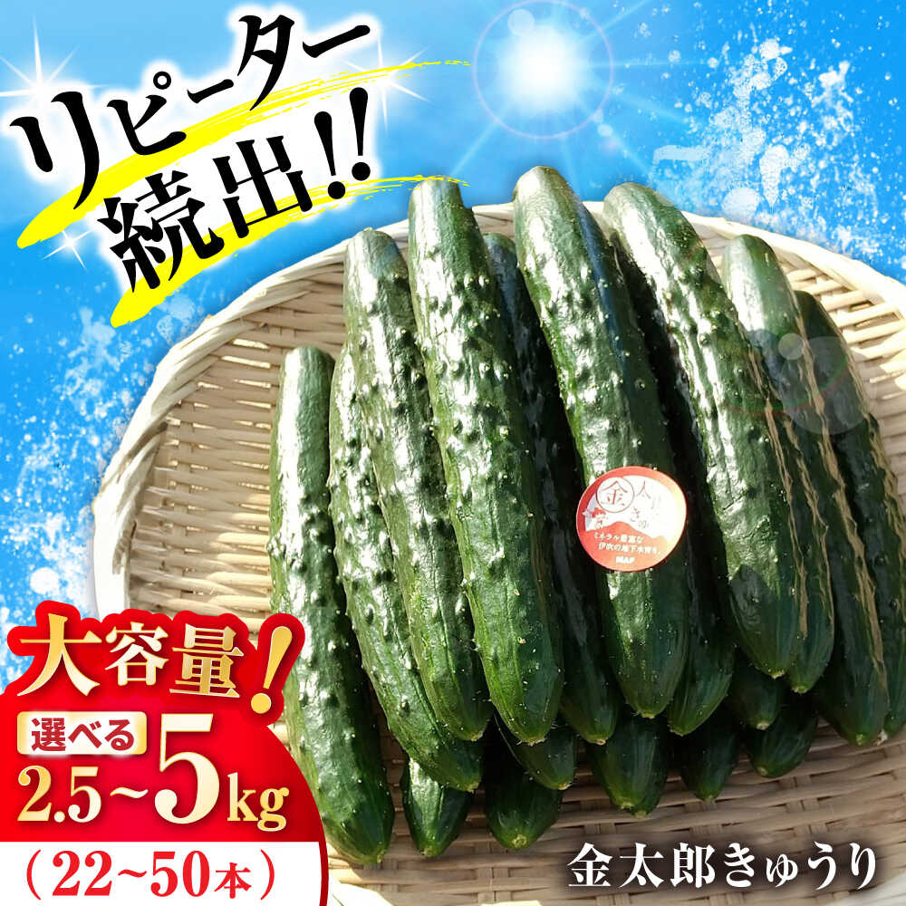楽天市場】【ふるさと納税】＜内容量が選べる！＞宮崎県産