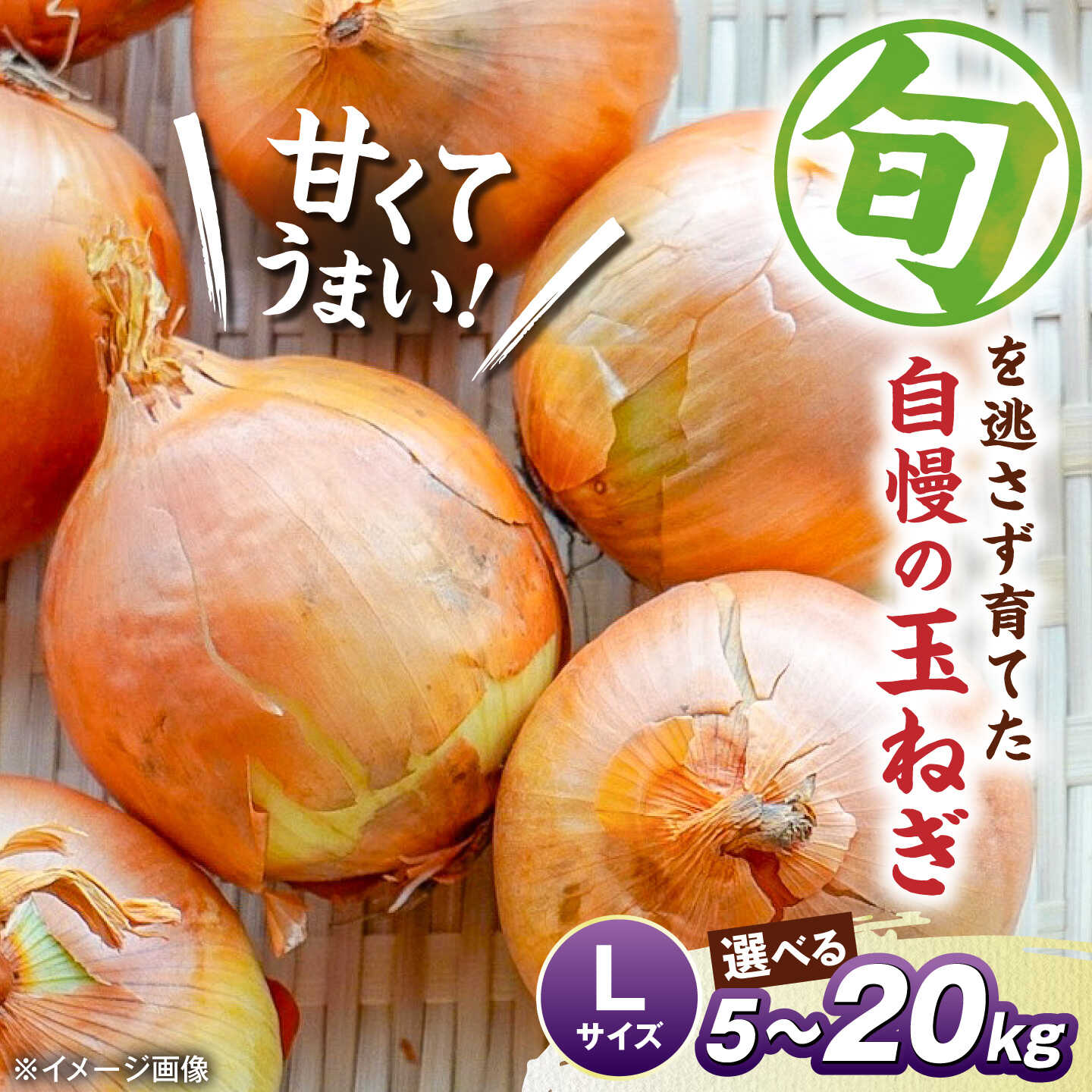 【ふるさと納税】【選べる容量】玉ねぎ 5kg 10kg 20kg Lサイズ たまねぎ 玉葱 野菜 旬 オニオン 産地直送 滋賀県長浜市/柏本農園株式会社 [AQDZ007]｜滋賀県長浜市