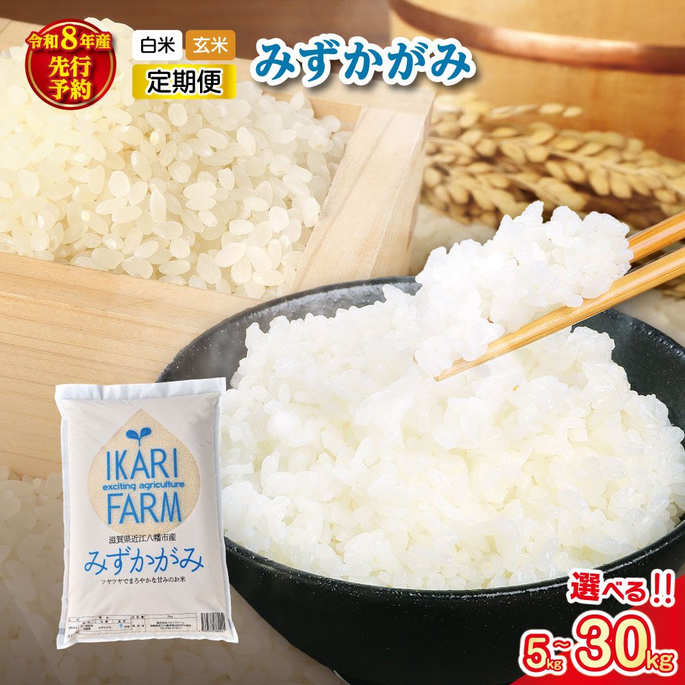 【ふるさと納税】【新米　先行予約】イカリファーム 令和8年産 冷めても美味しいあっさりとした味わい「みずかがみ」 近江米 滋賀県産 国産 5kg / 10kg / 30kg 定期便 選べる 白米 / 玄米｜滋賀県近江八幡市