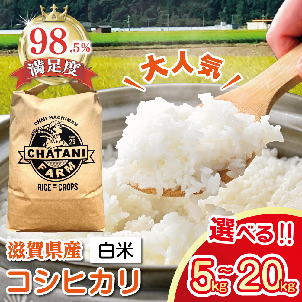 楽天市場】【ふるさと納税】令和7年産 近江米 環境こだわり米 みず 