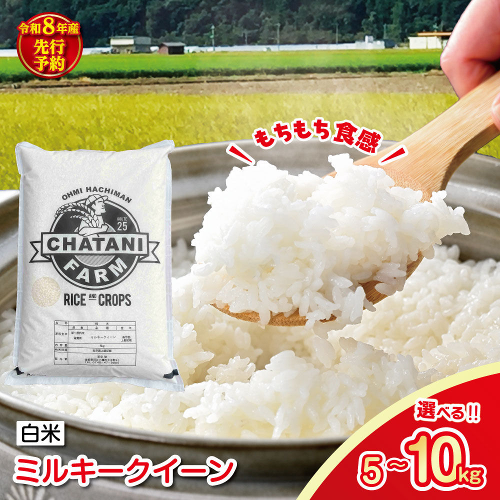 【ふるさと納税】【新米　先行予約】令和8年産近江米　ミルキークイーン 白米 5kg / 10kg 選べる 滋賀県産｜滋賀県近江八幡市