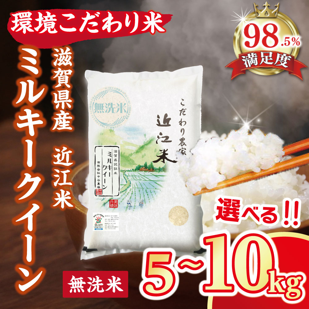 【ふるさと納税】令和7年産 近江米 環境こだわり米 ミルキークイーン 無洗米 5kg ／ 10kg 国産 滋賀県 米 中谷農場 御中元 お中元｜滋賀県近江八幡市